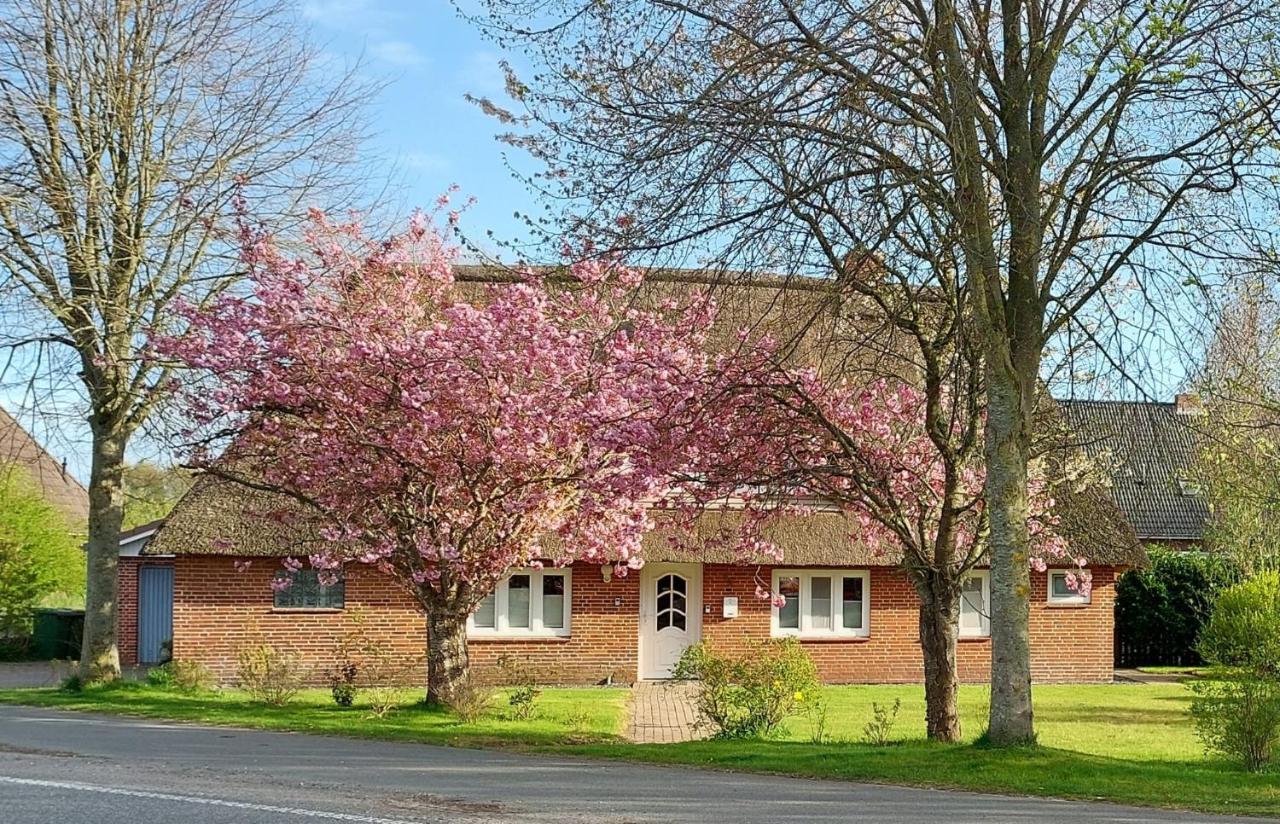 Entspannung Unter Reet Bordelum Exterior foto